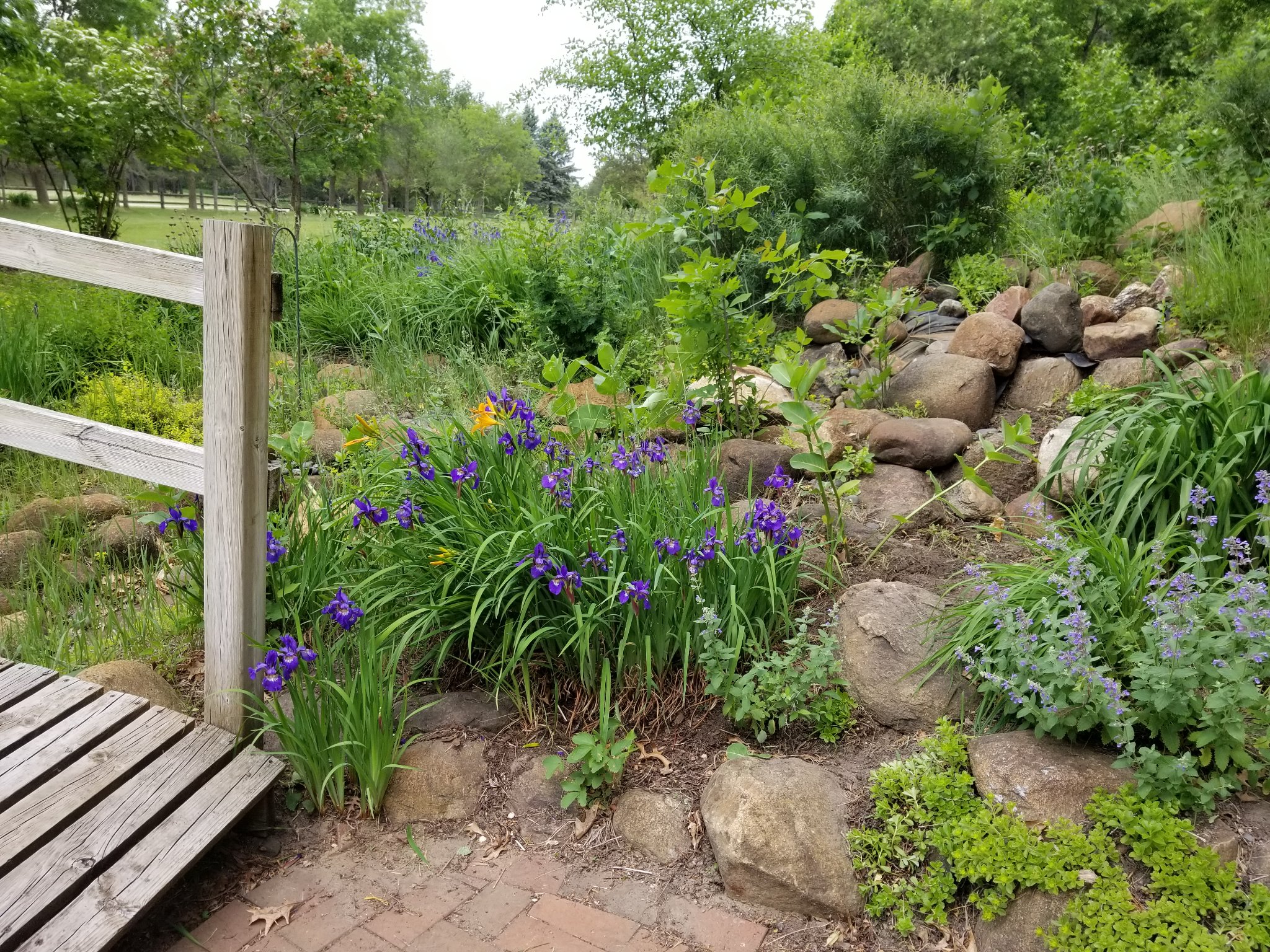 Watering by Wicking  Strafford County Master Gardeners Association