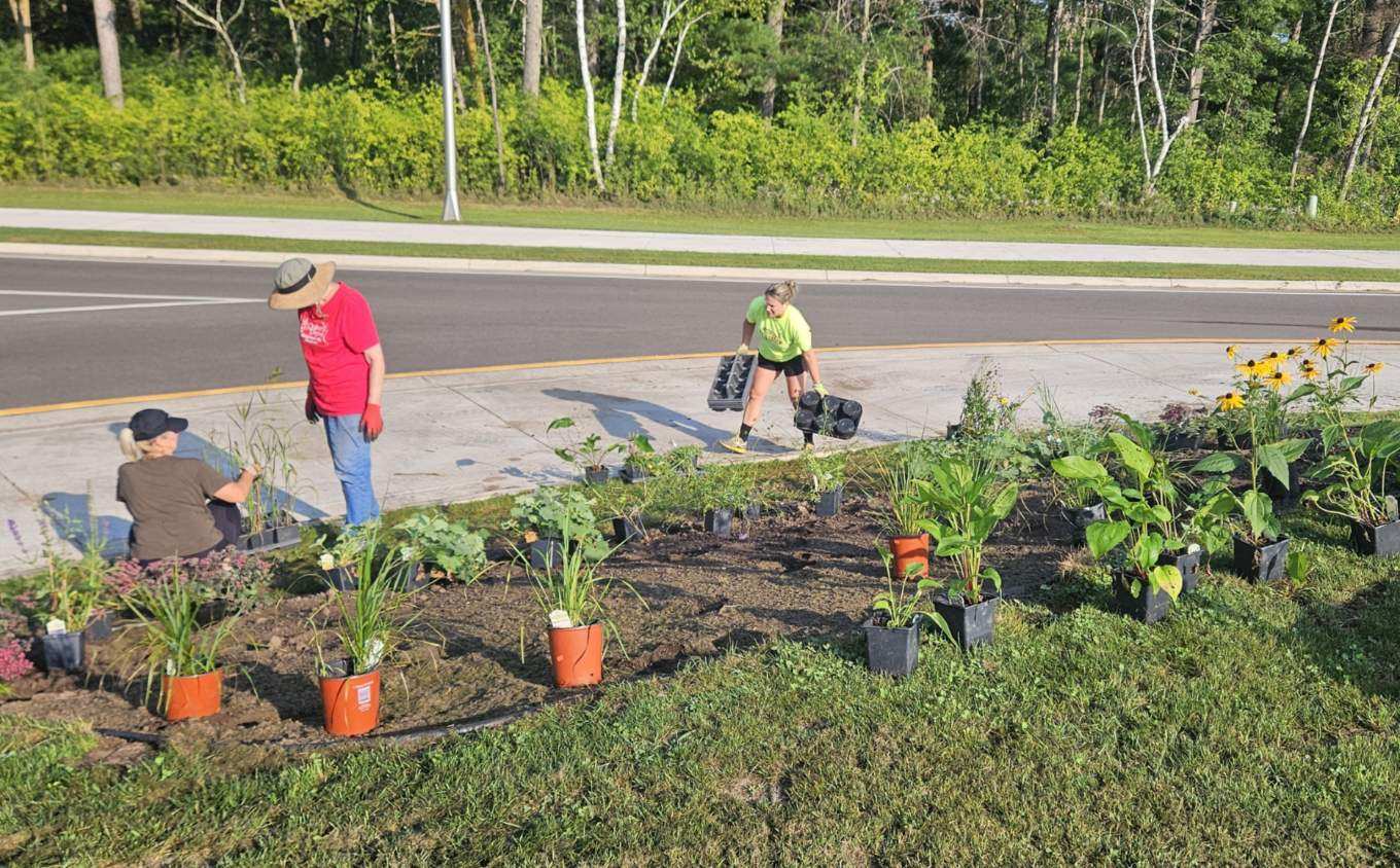CrosbyRoundabout 3 volunteers working at planting several potted plants in a traffic roundabout