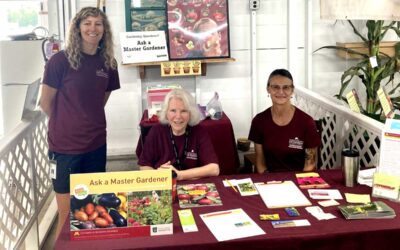 Master Gardener Volunteers at Crow Wing County Fair