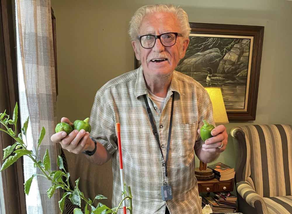 cwc-patiogarden-kaxe