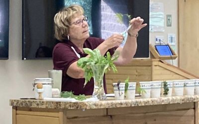 Brainerd Library Presentation Series