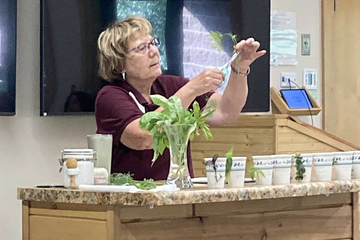 cwc-mg-brainerd-librarby-series-post-cover-judy-1200 Master Gardener Volunteer presenting behind a podium, holding up a plant stem