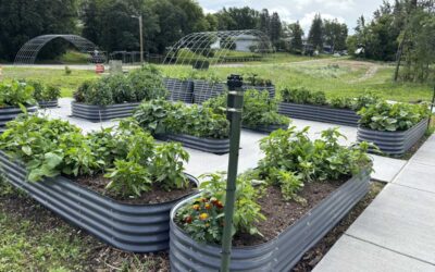 My Neighbor to Love Intentional Housing Community