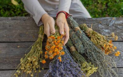 Flower Drying and Preservation