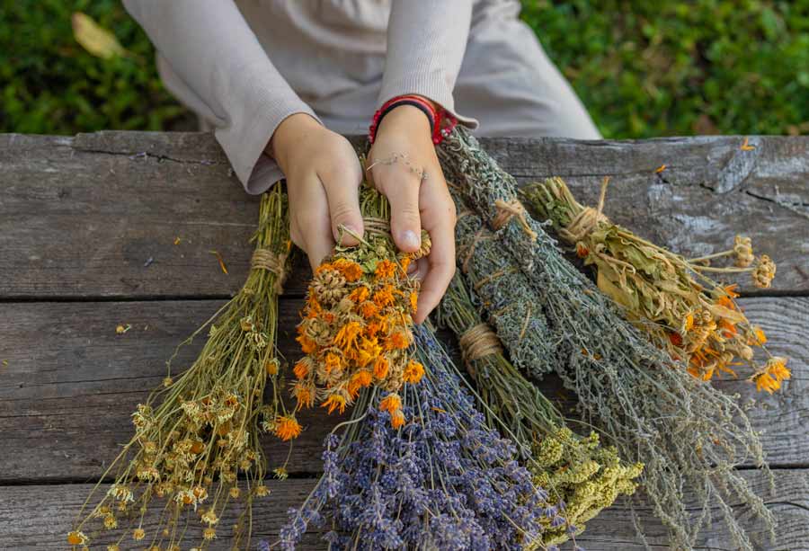 Two hands holding and sorting dried flower bundles on a table