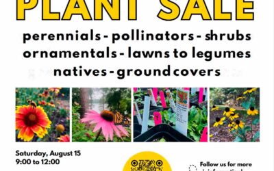 Plant Sale